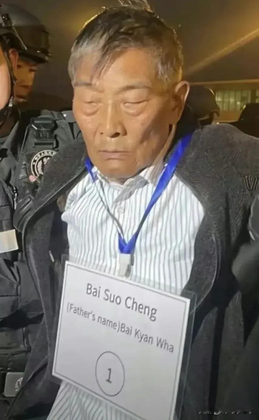 贪官，黑恶势力，没落网时，外在形象给人精明强干，意气风华，人中龙凤的感觉。一旦成