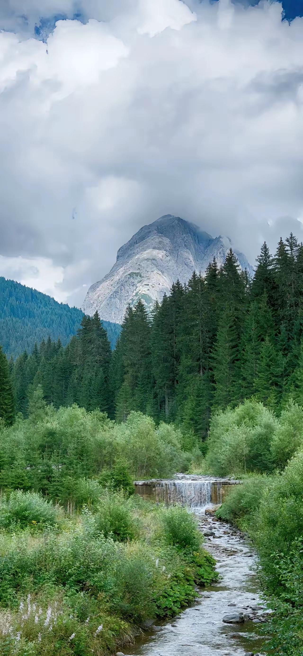 最实在的几句话:
“运动，可以解决80%的疾病。
读书，可以决定60%的命运。