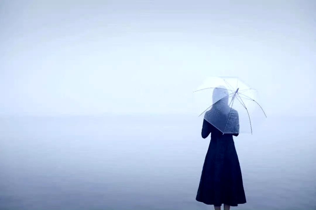 “生命和心灵的碎片。”--史蒂文斯几乎没有什么亲密温暖的事物。仿佛我们从未作过儿