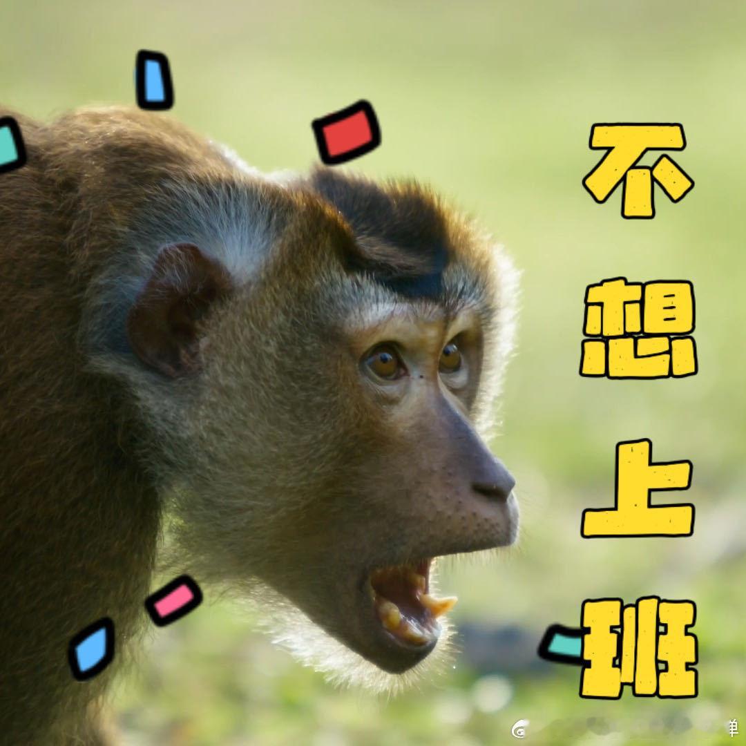 论打工猴的职业修养无法复刻的猴工椰奶AI再卷也没用，有些温柔和灵活只能来自真猴工