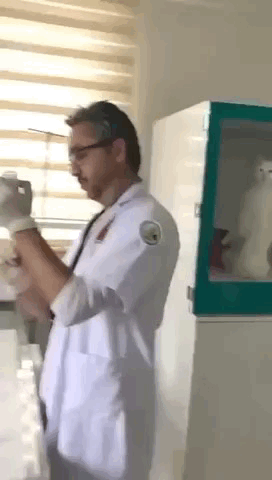 别看，一会就轮到你了 