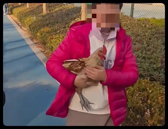 小时候看《喜羊羊与灰太狼》，那是满满的欢乐回忆。灰太狼抓羊，小羊们智斗，每一集都