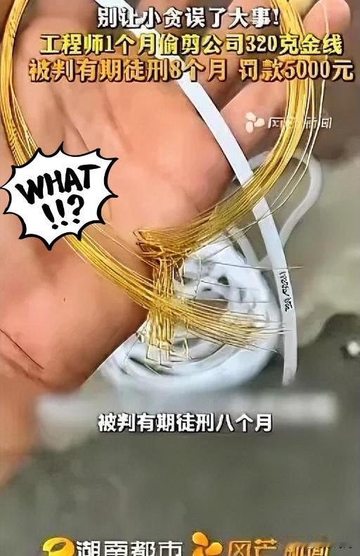 胆大包天！5月2日福建厦门检察机关披露：一工程师借调试设备之机，每次偷偷剪下3至
