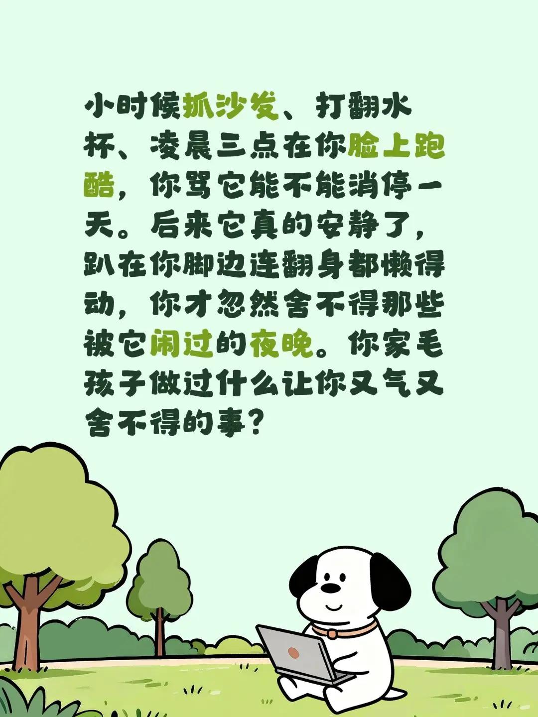 小时候嫌它太闹，长大了又怕它太安静。小时候抓沙发、打翻水杯、凌晨三点在你脸上跑酷