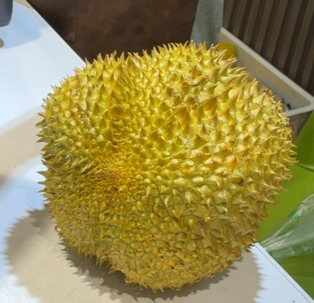 终于弄明白了！
为什么今年榴莲价格很便宜，不是主播把价格打下来的，也不是它不想卖