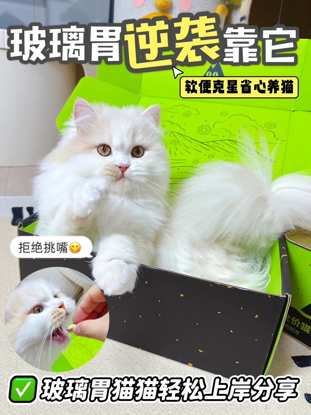 挑食怪变干饭王！软便克星猫粮让我省心一年
