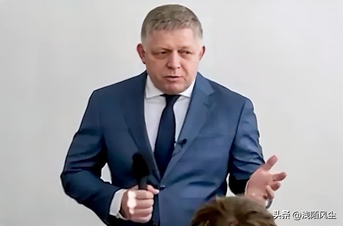 斯洛伐克总理菲佐: 我参加欧洲理事会议，不只是为了指出错误，或者仅仅说‘不’，首