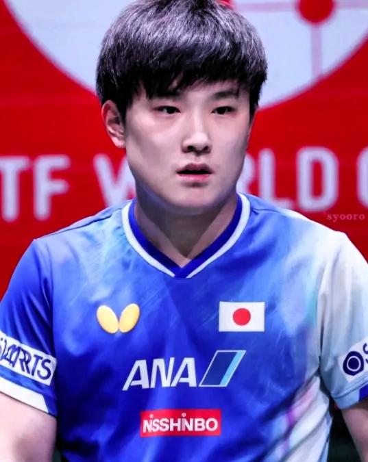 一句话，2000万日元打水漂！
张本智和这波操作真是把一手好牌打得稀烂，自己丢了