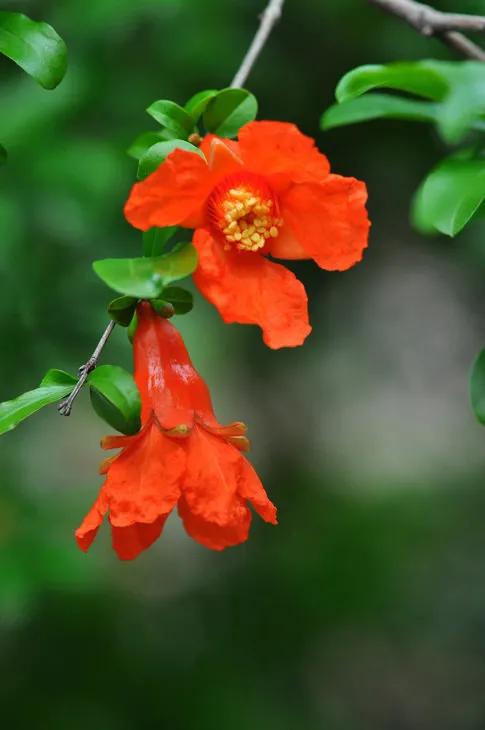 作家余华讲：余生还长，你别慌。也别回头，别纠缠，别念旧。我却不认同他的观点。人如