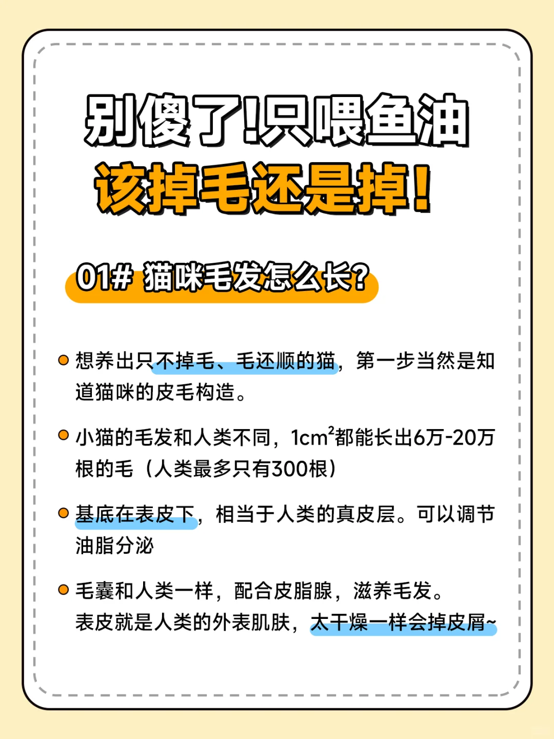 为什么一直喂鱼油🤔该掉毛还是掉？