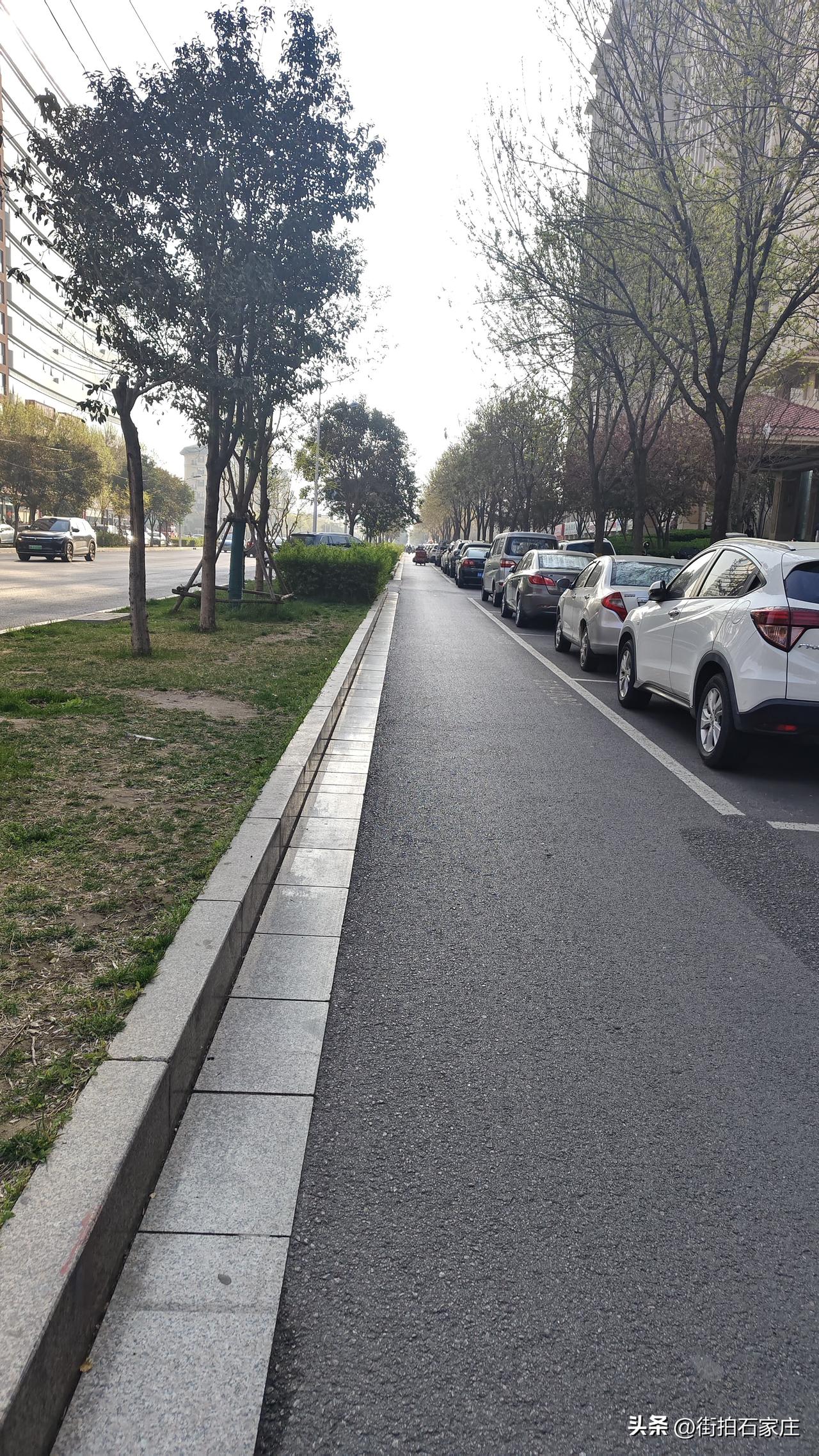 石家庄的路边停车位真该取缔了！
本来这自行车道挺宽的，骑个自行车也挺舒服，为啥非