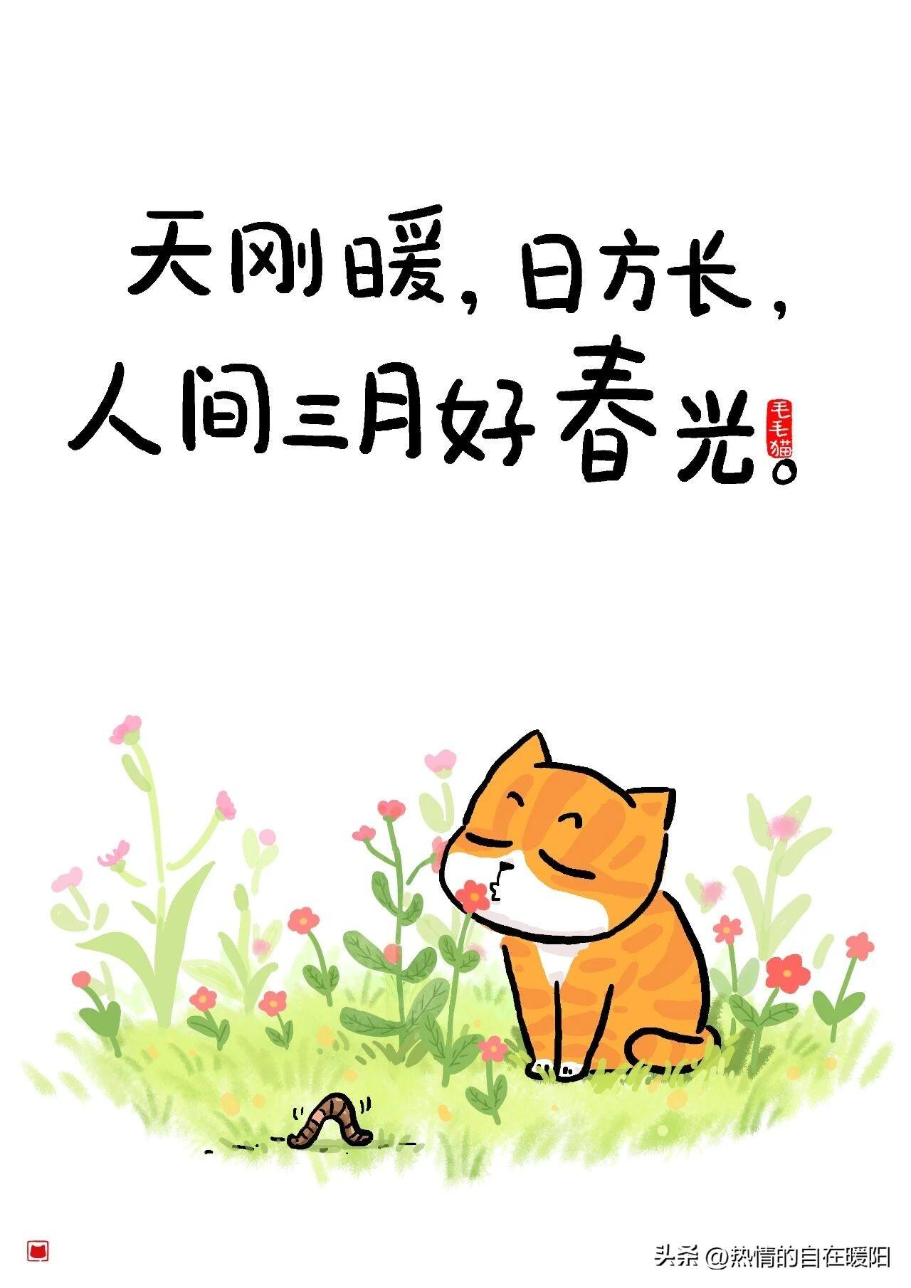 在老二家陪孙子一个半月，手机都顾不上看，头条更新也慢了。好友说我太忙，可我心里最