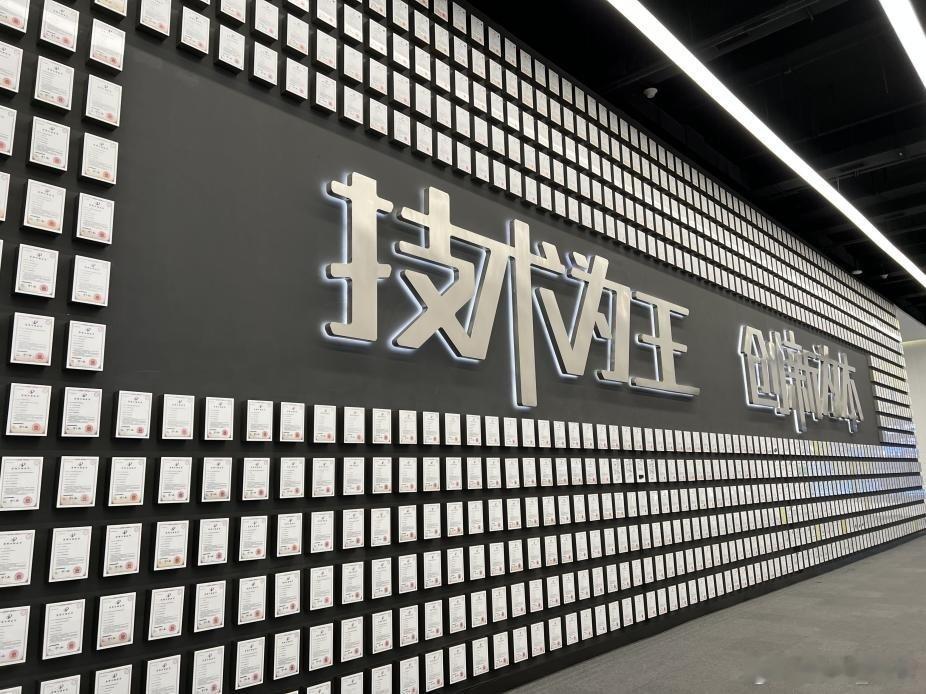 比亚迪全能王者实至名归！在新能源赛道，比亚迪成绩斐然，2025 年 1 - 11