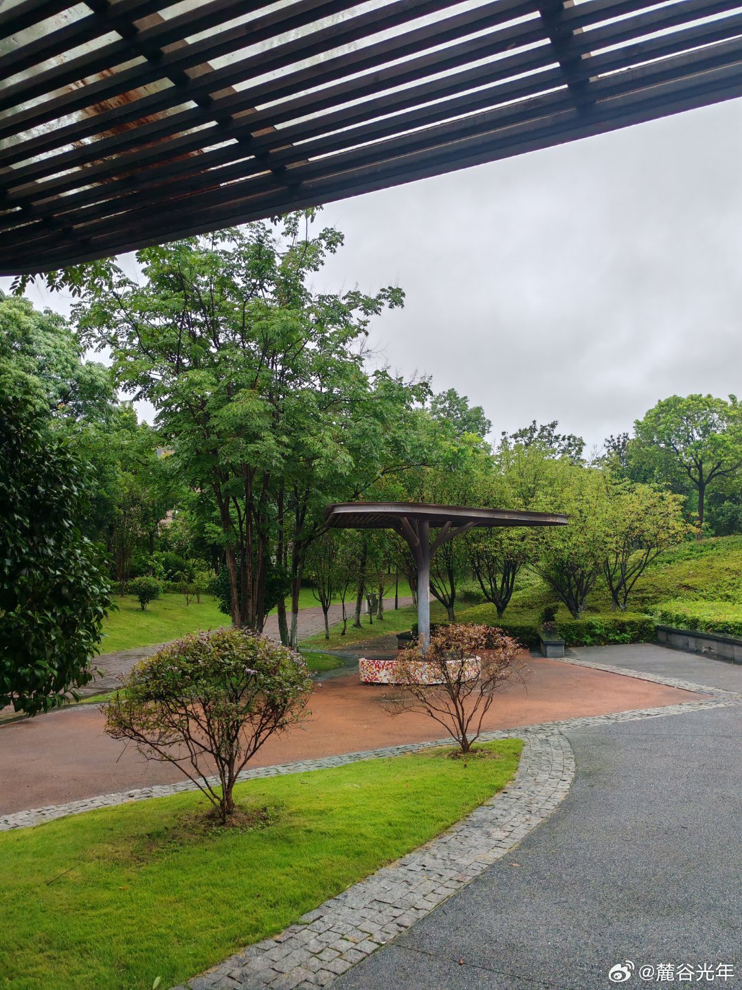 今天稍冷，微风，小雨，公园极少人，打两遍八段锦，再去公司上班去 