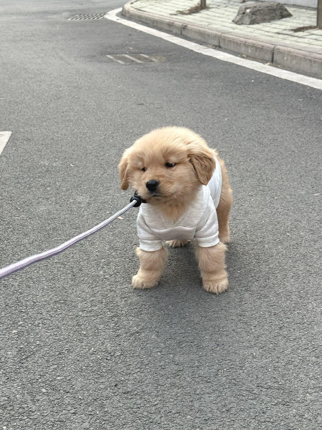 妈妈酱，衣服买小了 