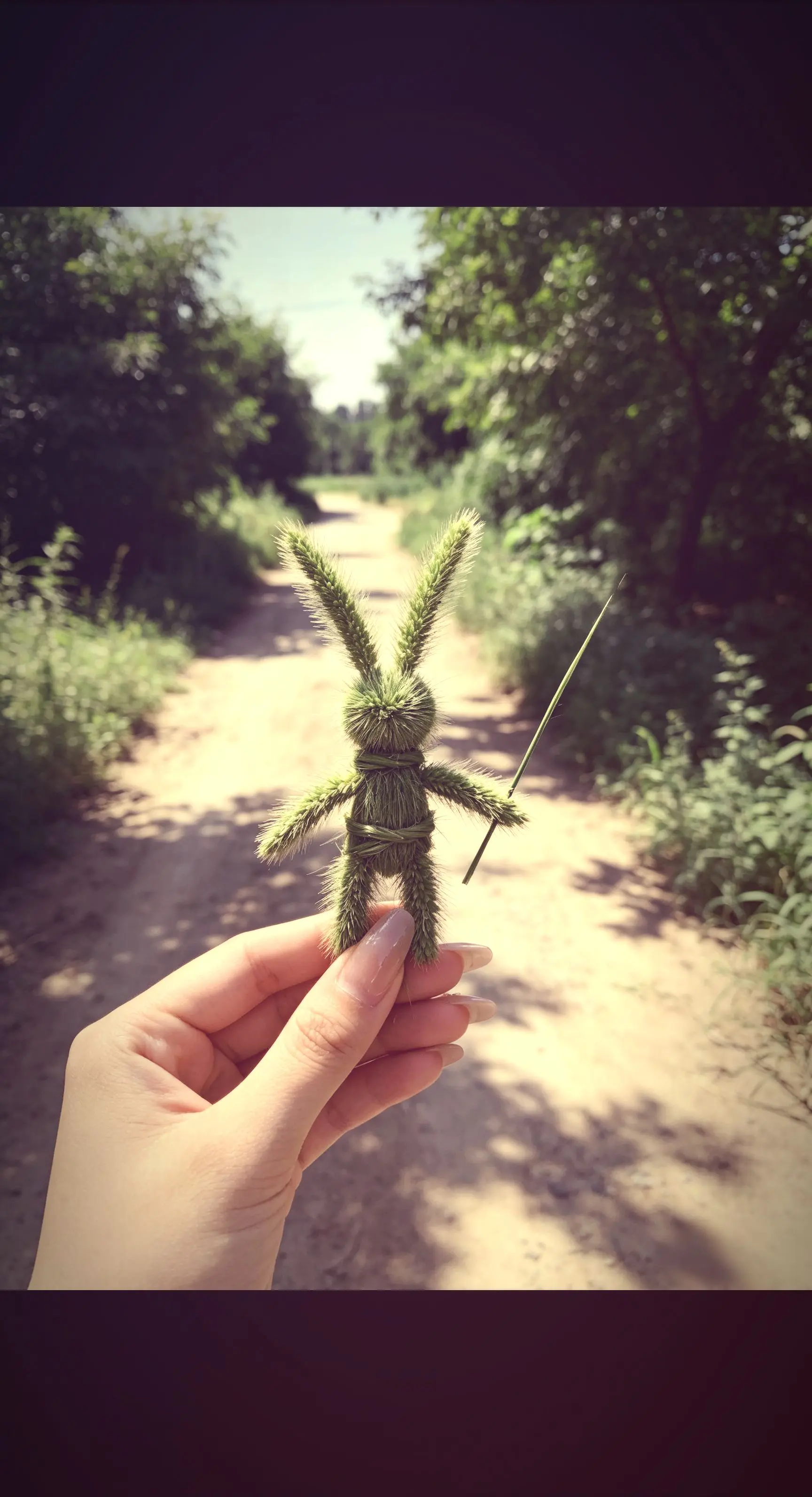 童年的快乐，狗尾巴草小人。