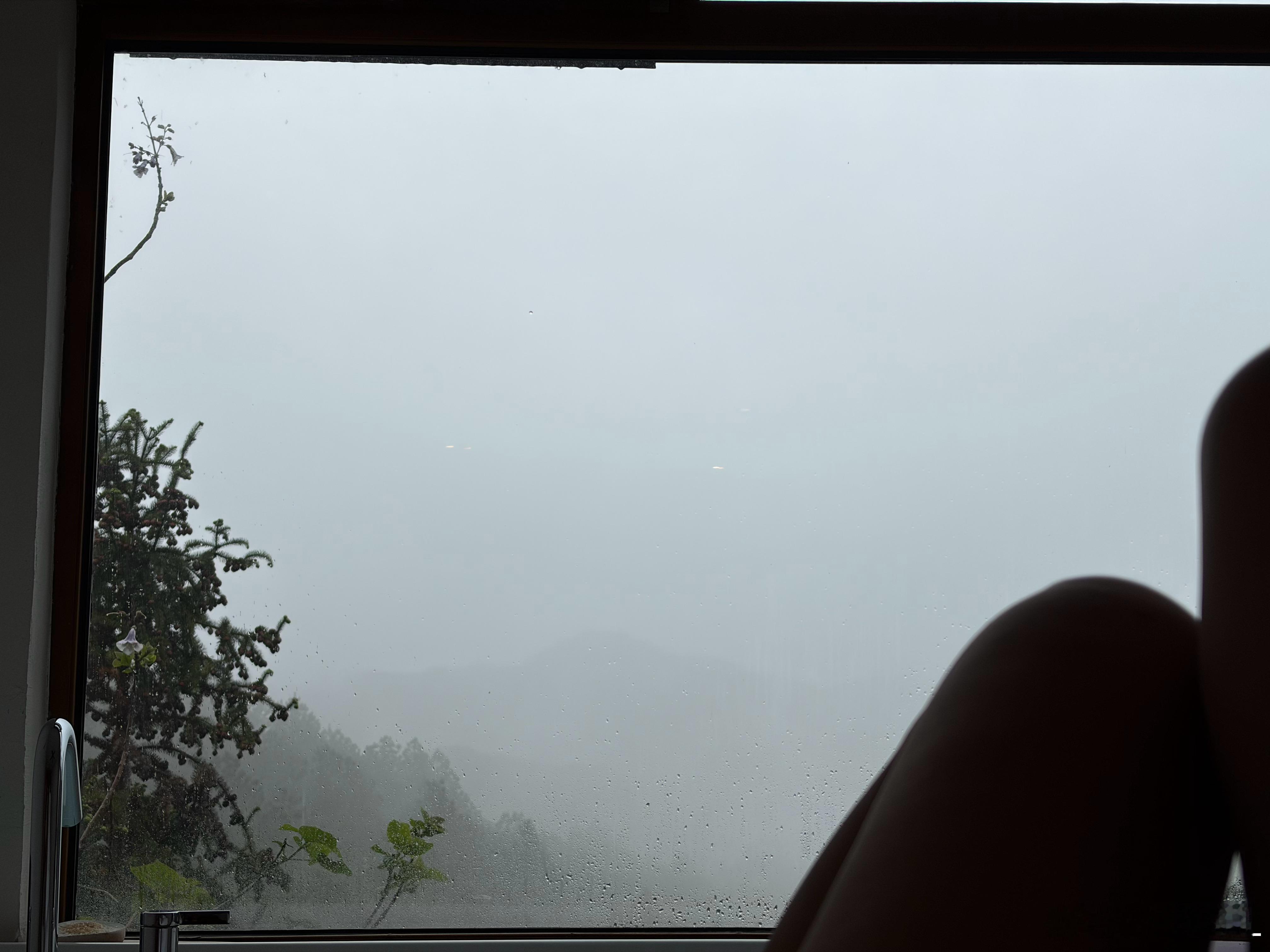 一早被雨天莫干山的云雾美晕了，想在床上躺到天荒地老，哪也不去……结果中午就要出发