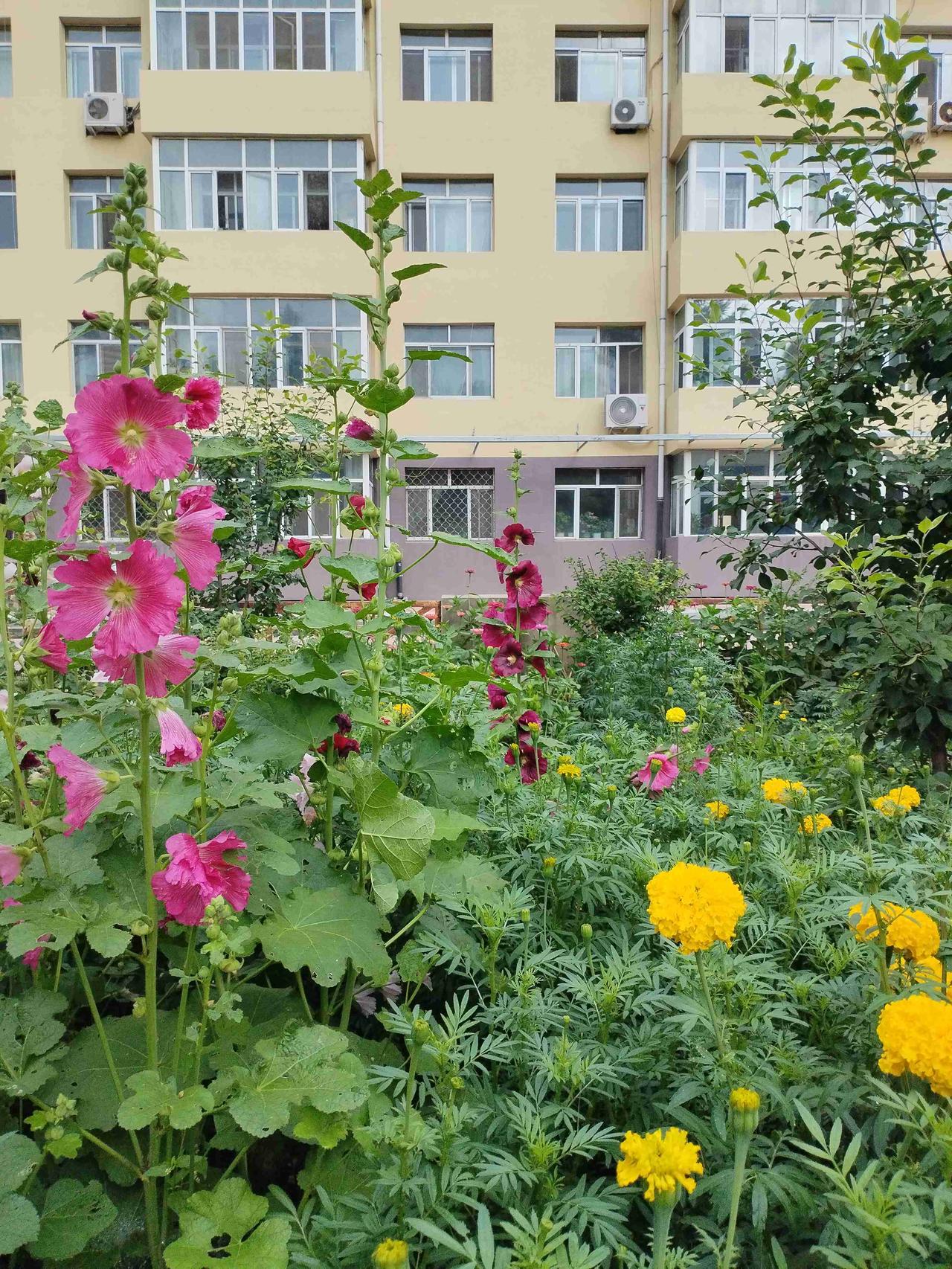 我的今日状态：😁轻松愉快
我这里的天气：☀️晴天
  这里是黑龙江省肇东市国税