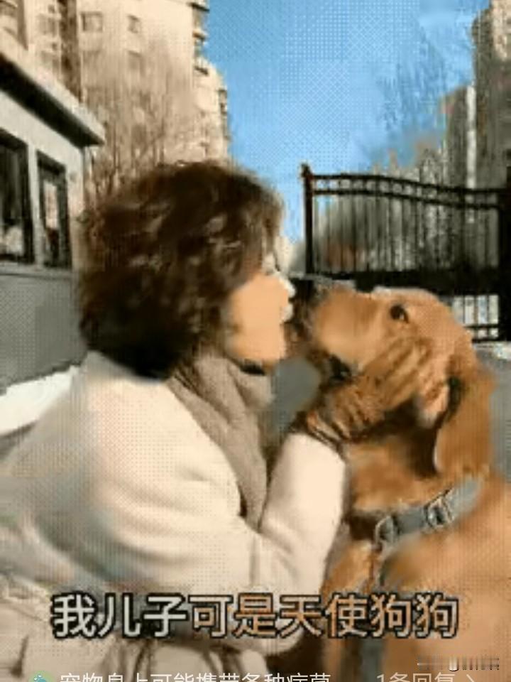 人是人，狗是狗，不能人狗不分！
好多女士养狗，把狗狗当着儿子，自己被称为狗妈妈，