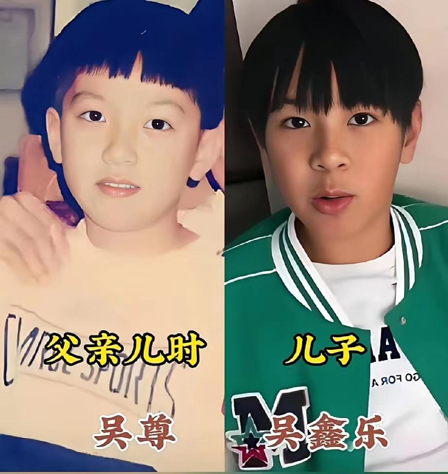 吴尊和他的儿子
林志颖和他的儿子
吴京和他的儿子
邓超和他的儿子
不得不说，他们