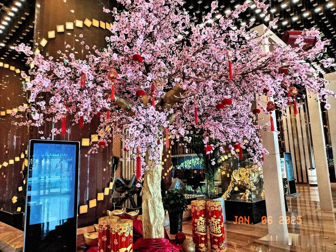 乐华夏富强。