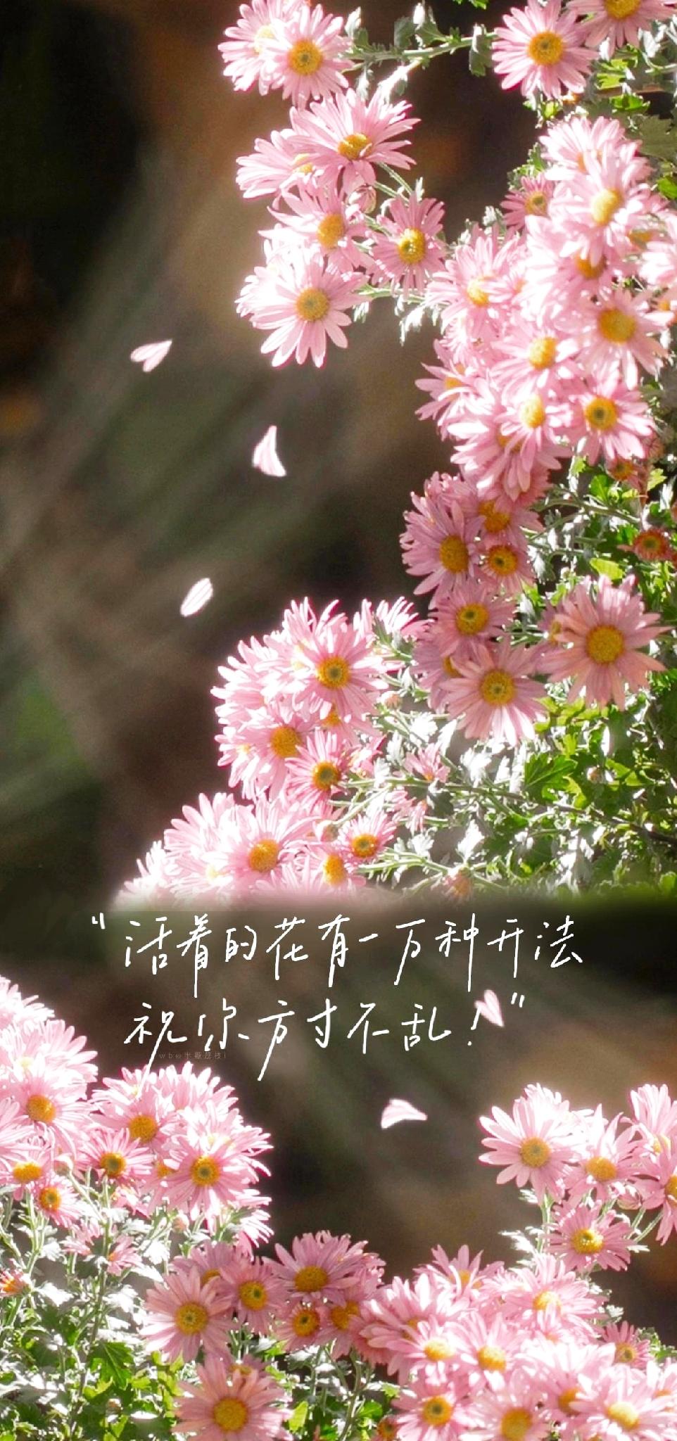 每天一颗糖，日子都是甜的～

琪同学一颗刚剥好的糖，
像一记耳光落在地上。

我