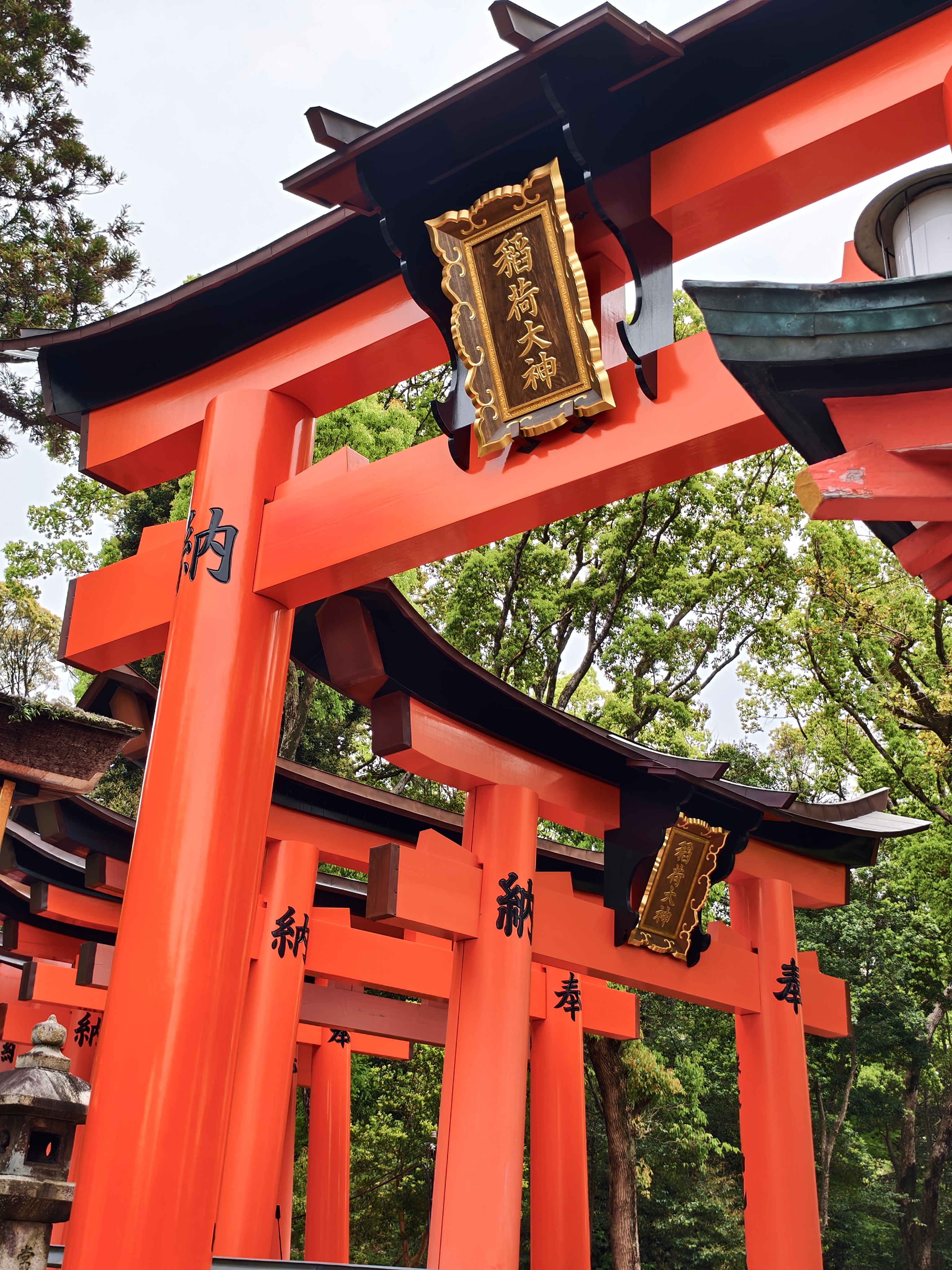 跟着阿Ser游霓虹，这是一个有名的神社。 