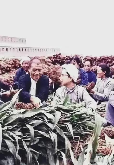 同吃、同住、同劳动，比学赶帮超，多快好省地建没社会主义！