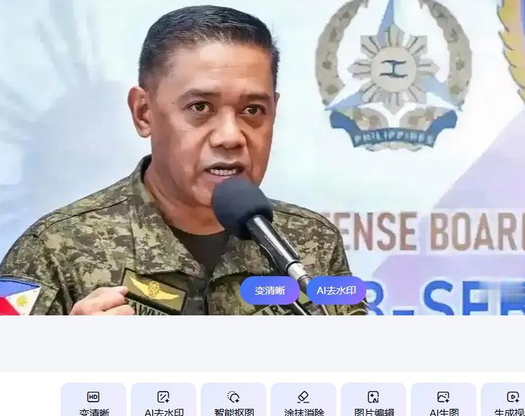 "必须付出代价。"

7月21日，菲律宾海岸警卫队少将塔里埃拉把这句话甩了出来。