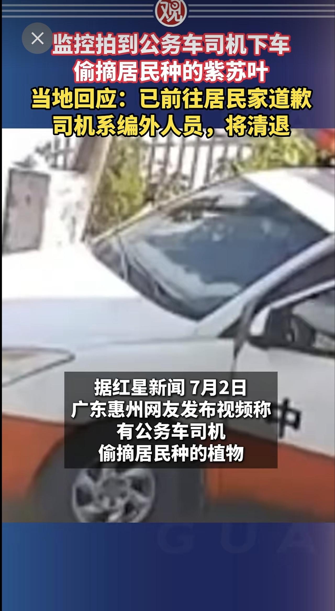 监控拍到公务车司机下车偷摘居民种的紫苏叶，当地回应：已前往居民家道歉，司机系编外