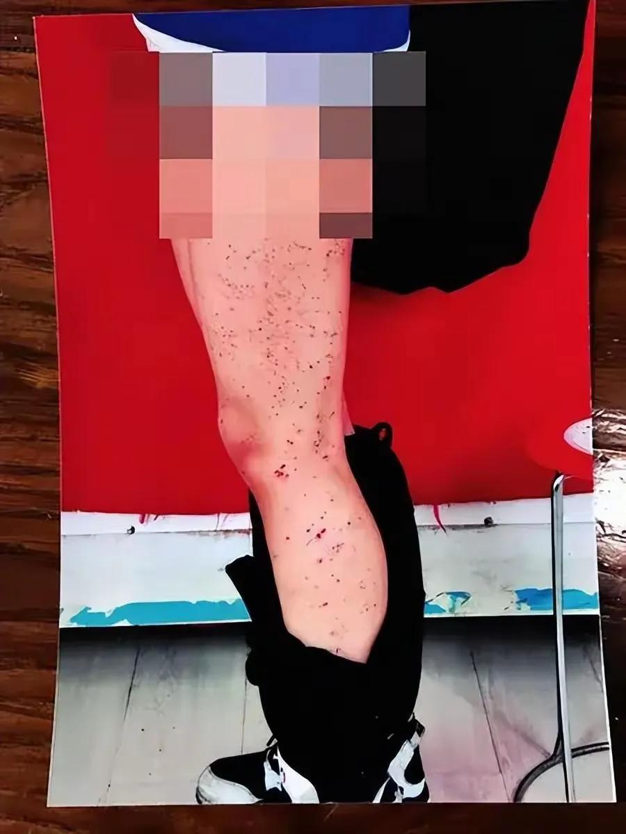这惨剧背后的不为人知的真相是什么？                       