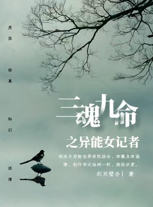 已更十一万，持续更新，欢迎追更。#三魂九命 #三魂九命之异能女记者 #番茄小说 