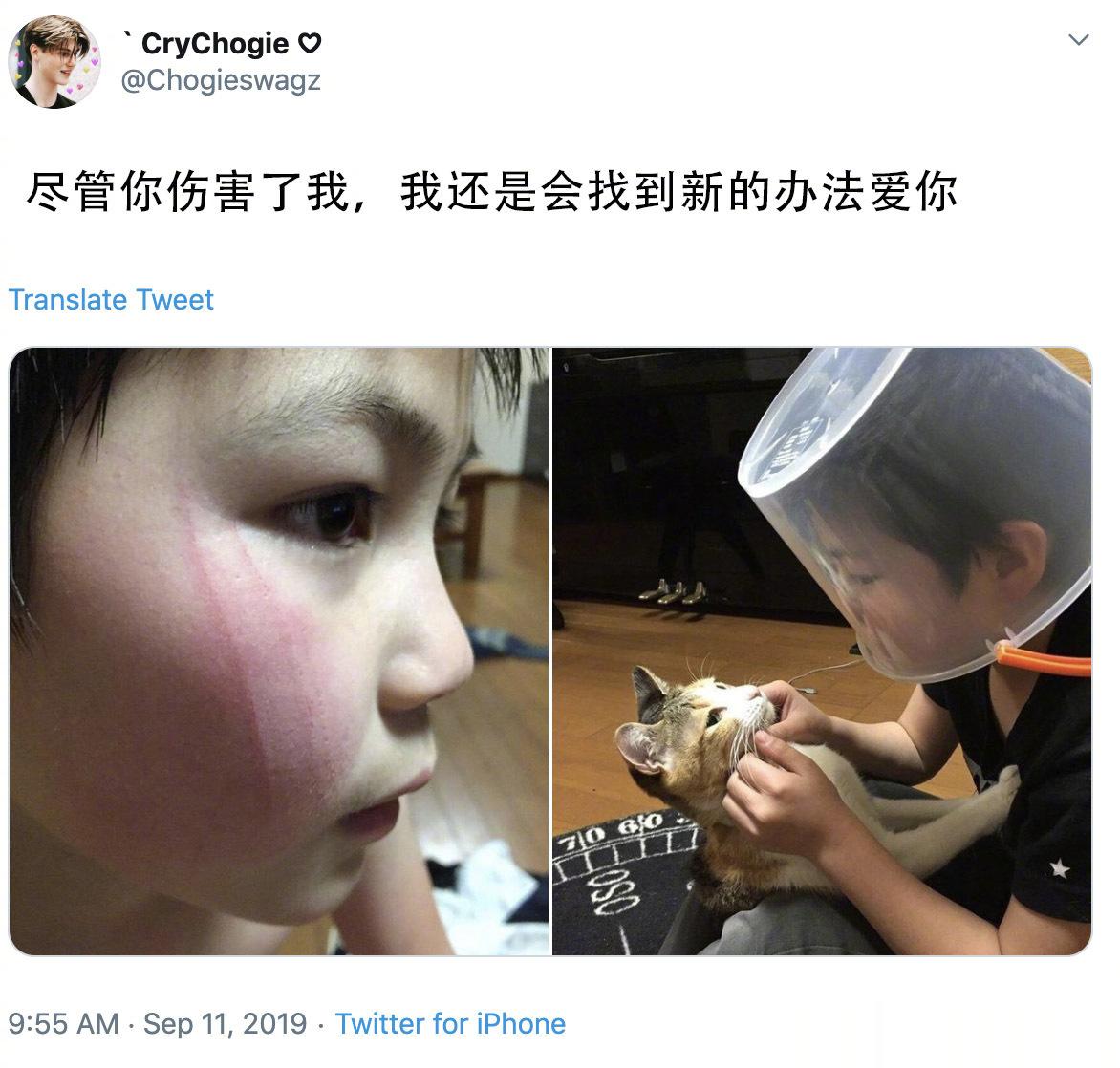 严肃讨论下，这种还能养不  ​​​