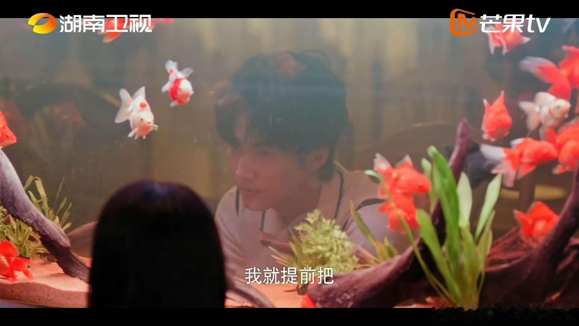 包上恩周柯宇蝴蝶结比心共创周柯宇蝴蝶节快乐剧里陆西骁的蝴蝶节祝福成真，周柯宇对着