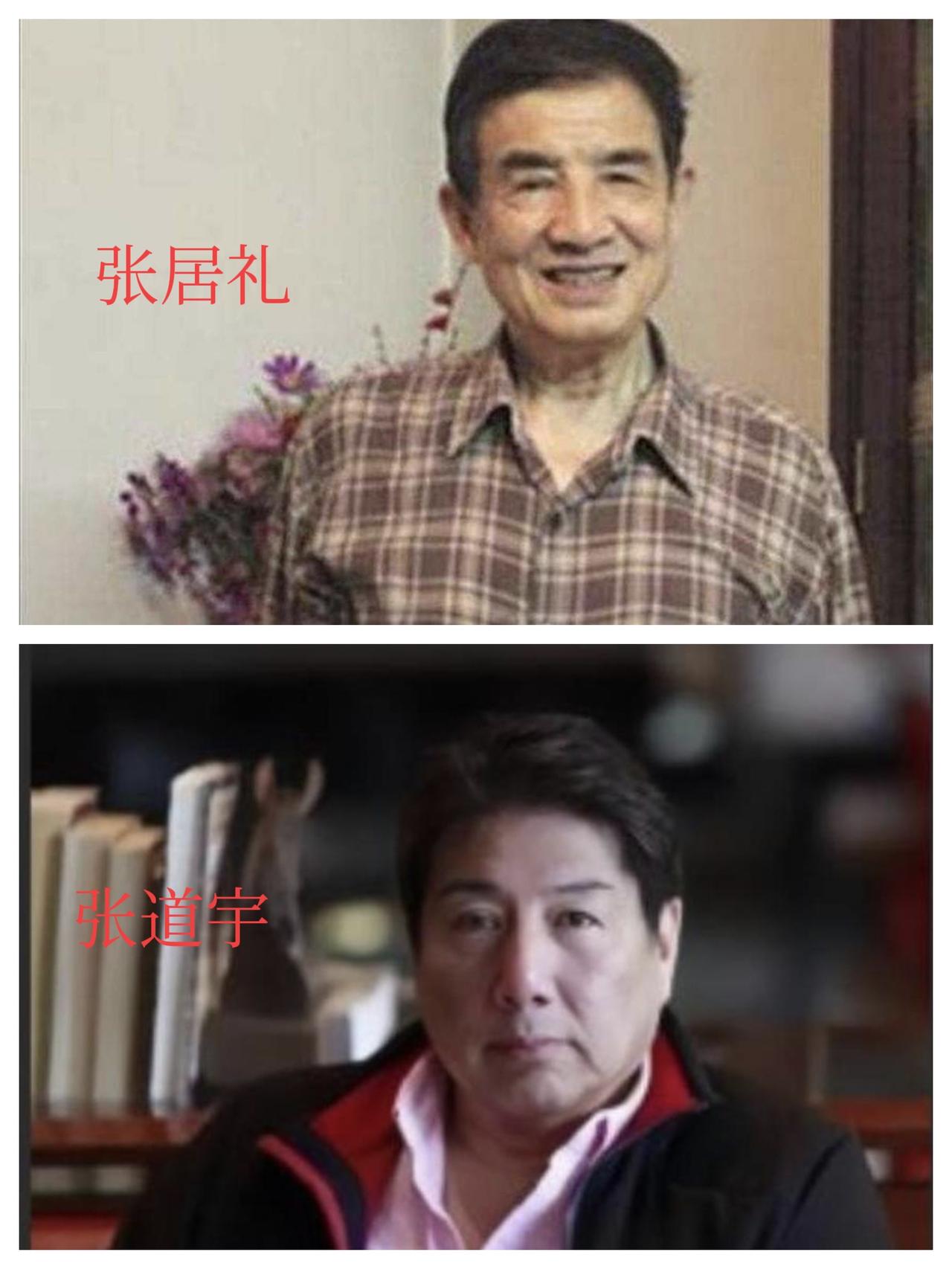张灵甫两儿子的现状：一个副厅级退休干部，一个为父宅主张记忆
 
张灵甫的两个儿子