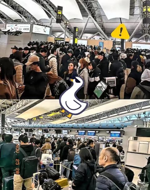 傻眼了吧，赴日旅游这就是不听劝的后果，去的潇洒，想回来可不容易了。航班取消买不到