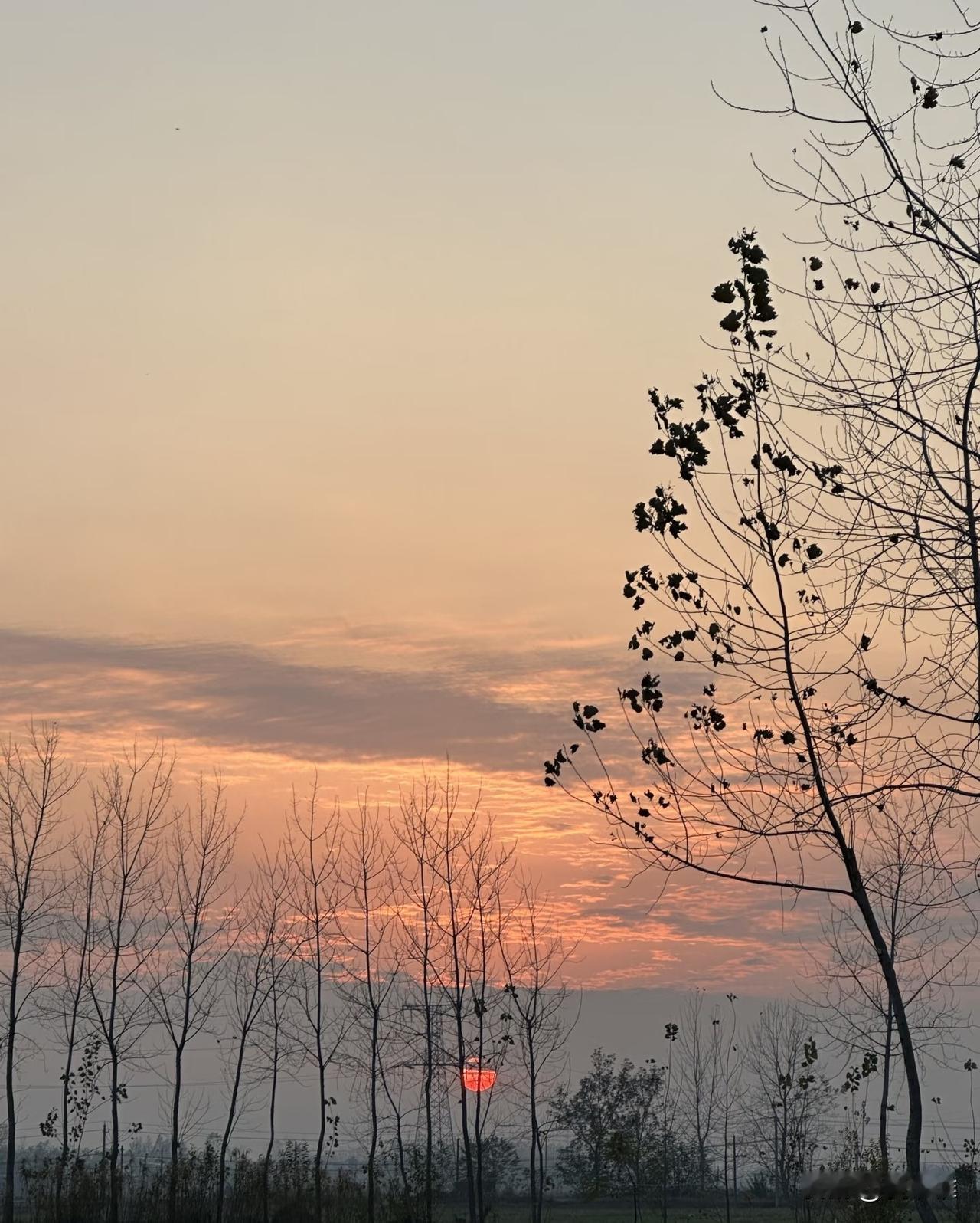 现在网上有些短视频，为了吸引眼球专门拍农村的不好。邻里吵架、斤斤计较，拍得特别夸