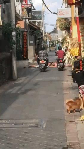 当硬的遇上橫的，场面很和谐嘛