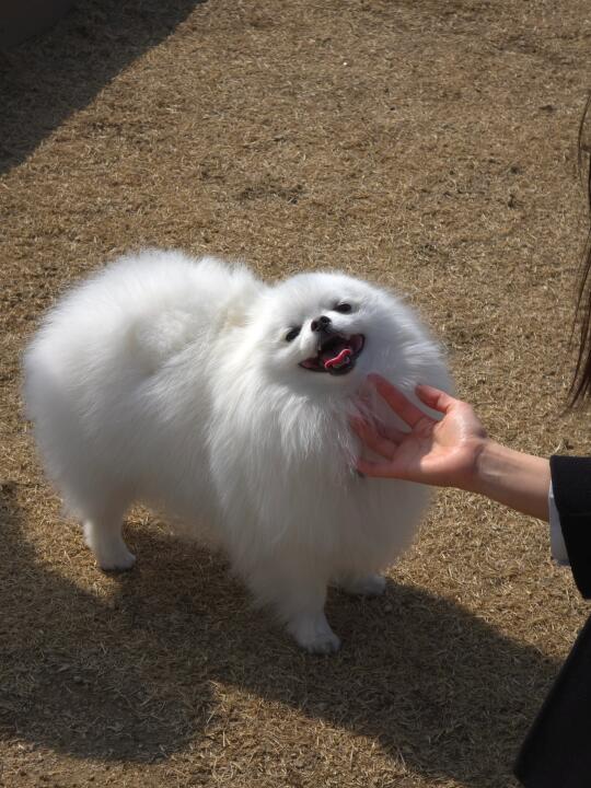 草地什么时候开始绿啊