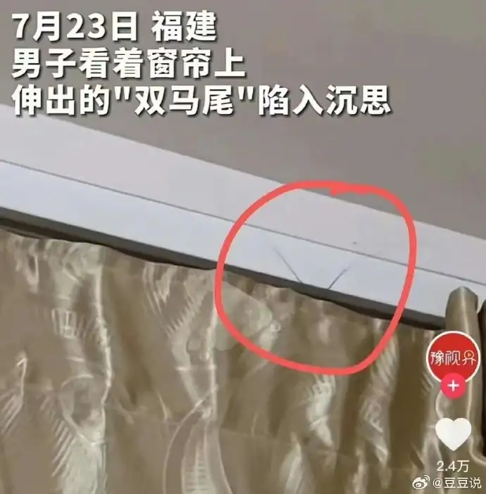<img src=