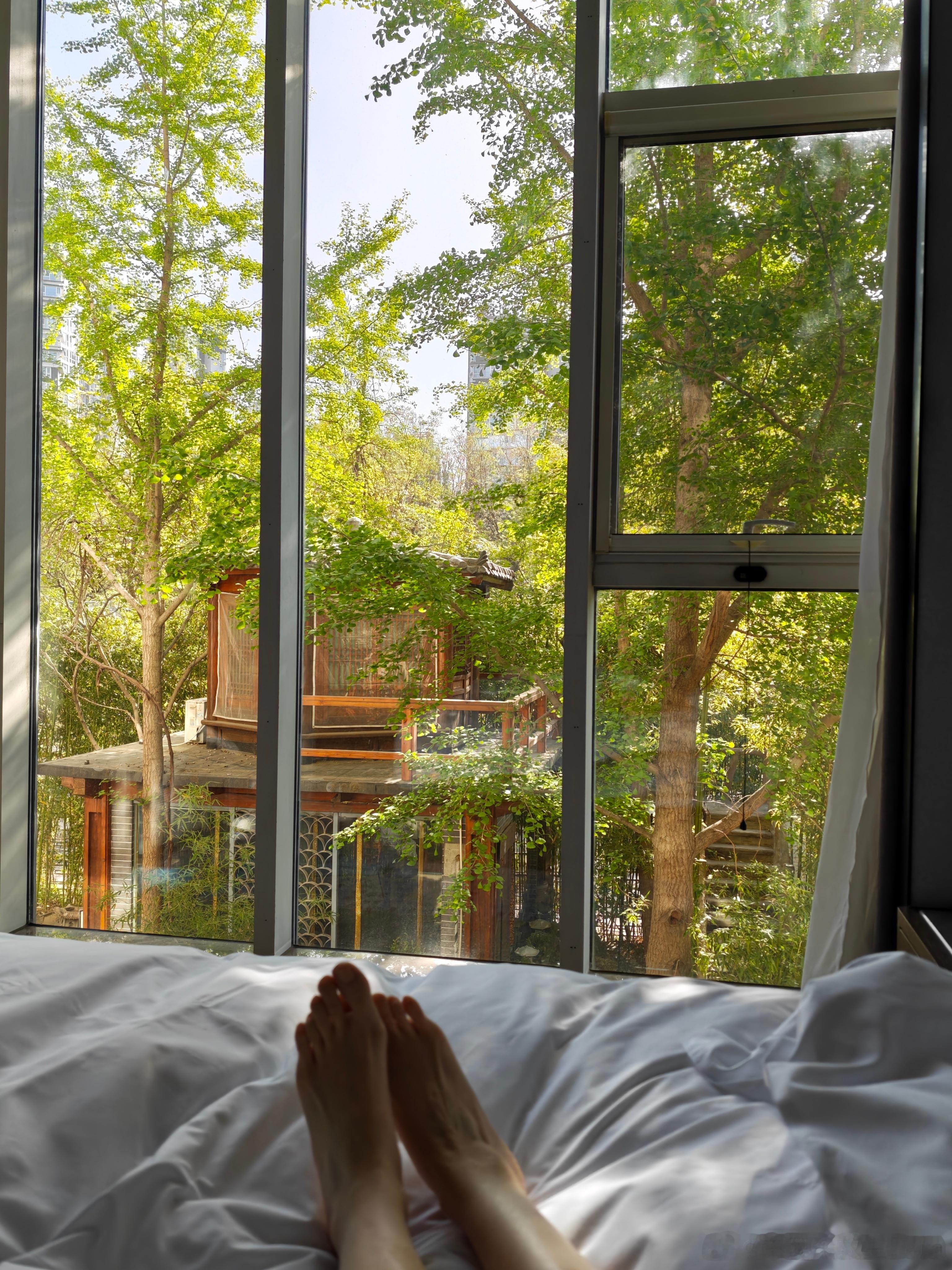 一觉从十点睡到七点多，整个人都活过来了早安呀北京 北京·北京行宫国际酒店