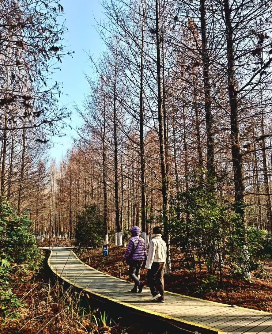 刷到过一个扎心的计算：人这辈子按100岁活，满打满算也就3万多天。我拿着手机扒着