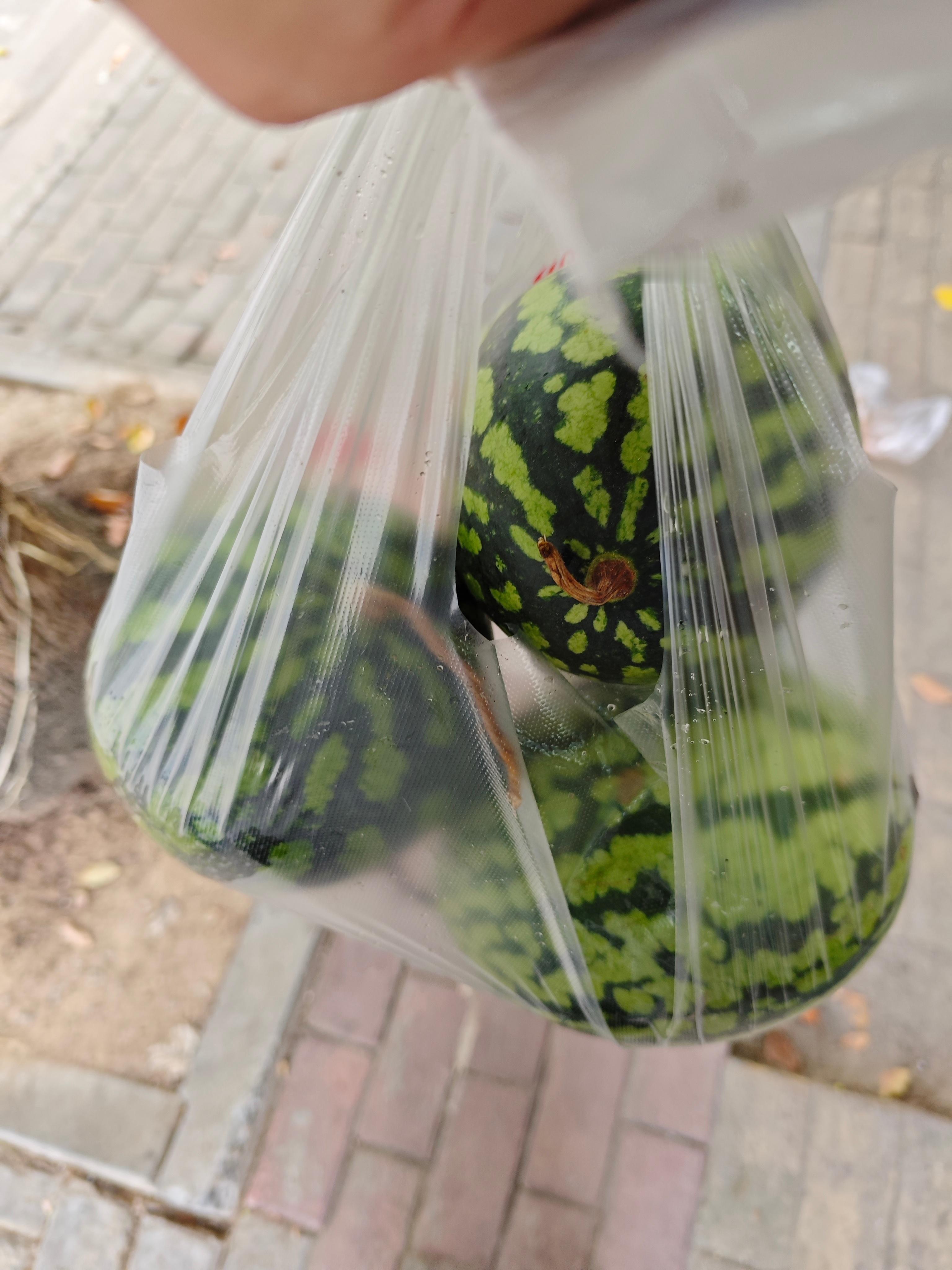 10元3个小西瓜🍉!西瓜现在1.5元/斤，以前小时候记得西瓜才鸡毛，便宜的时候