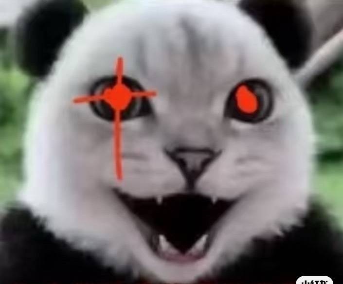 分享图片 ​​​