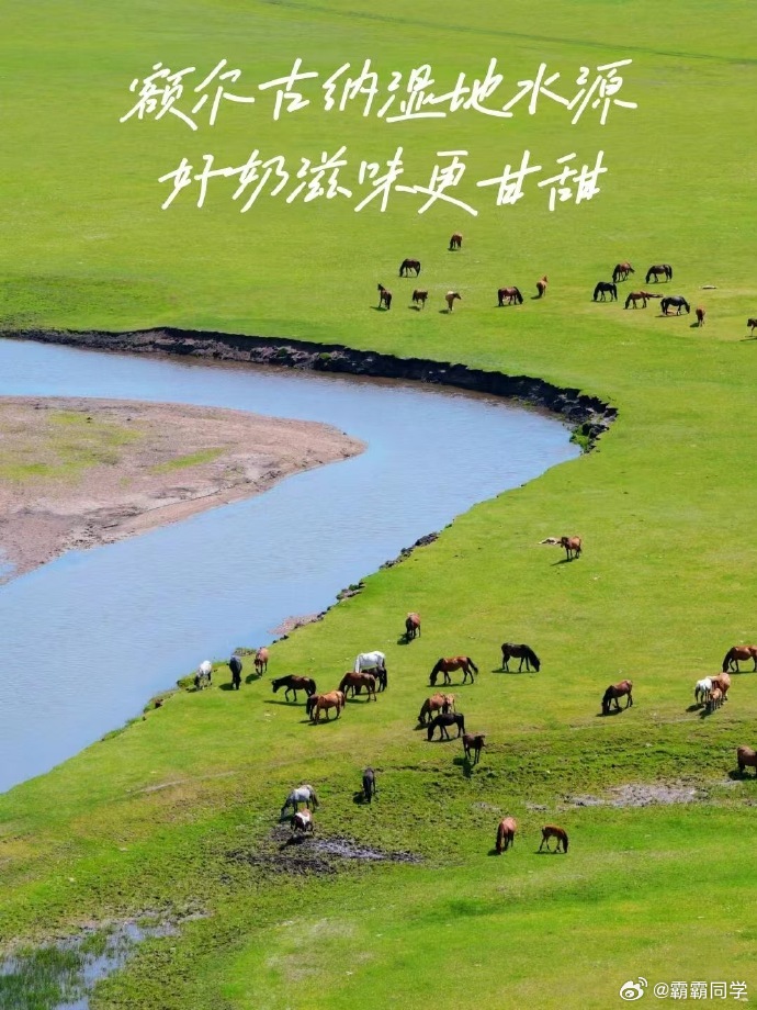 牛牛，名含牛却性温顺。日常晒太阳、吃嫩草，自在散步至日落，这般生活，透着质朴的幸
