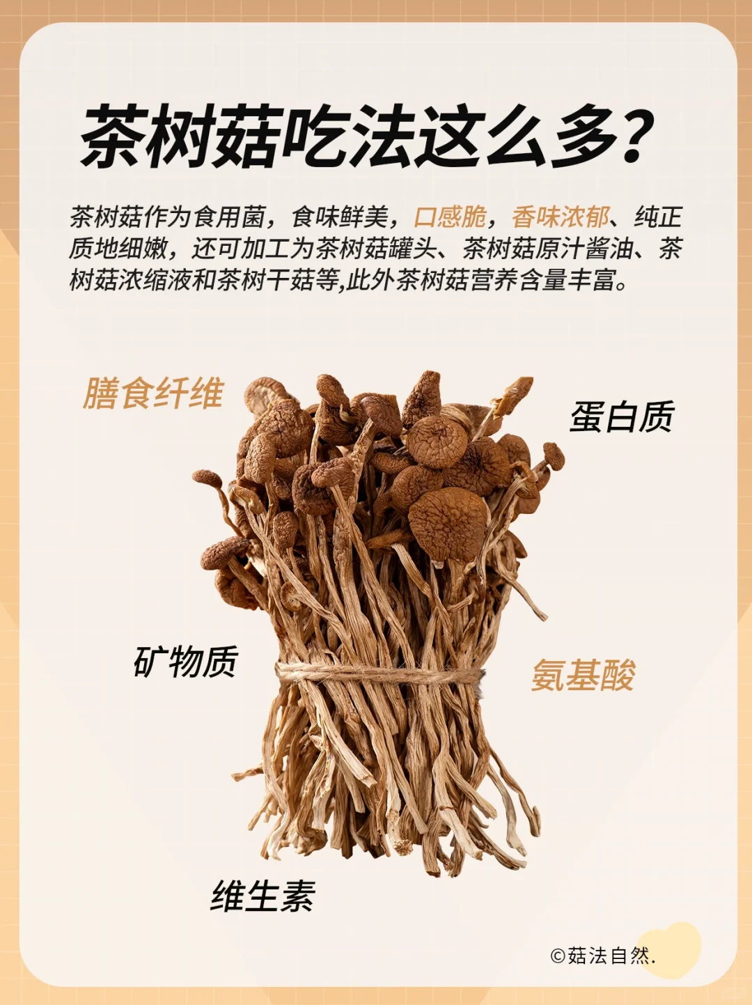 茶树菇适合减脂人？