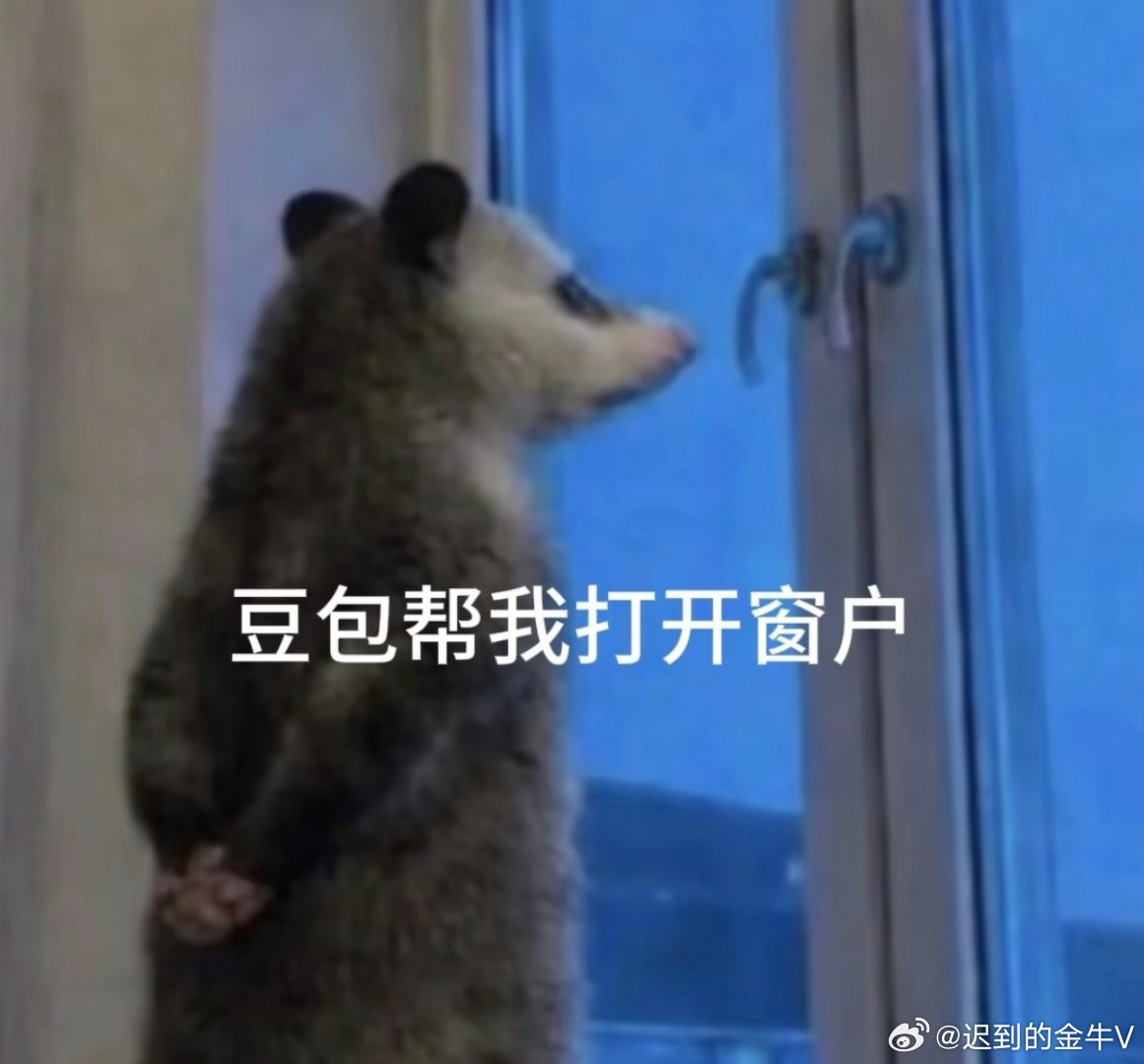 关晓彤分手后一年拍5部戏从前总被贴上感情标签，如今用行动撕掉所有附加名号。整整一