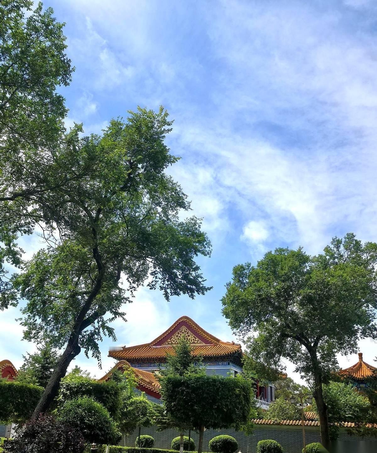 巴沙尔·阿萨德，叙利亚曾经的掌权者，刚刚从老家收到一个“判决”。
死刑。
由大马