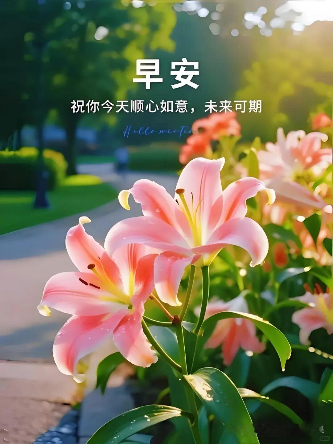 我认为相信吃亏是福是叫你有时候做人实在一点，吃亏不一定是福，但吃亏会让你更好的做