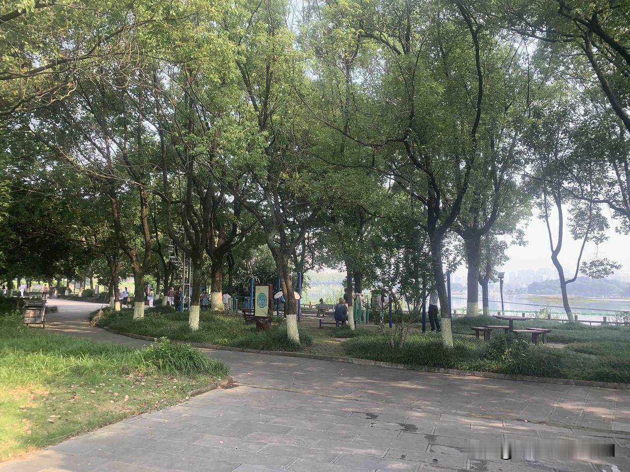 人成长和蜕变的标志是什么？

很多人误以为年龄增长、阅历变多就是成长，真正的蜕变